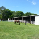 Ocala West Won Training Facility - Horse Training