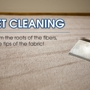 Dr Steemer Carpet & Upholstery Cleaning