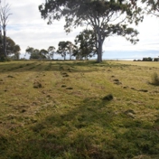 Gallery Image Number 1