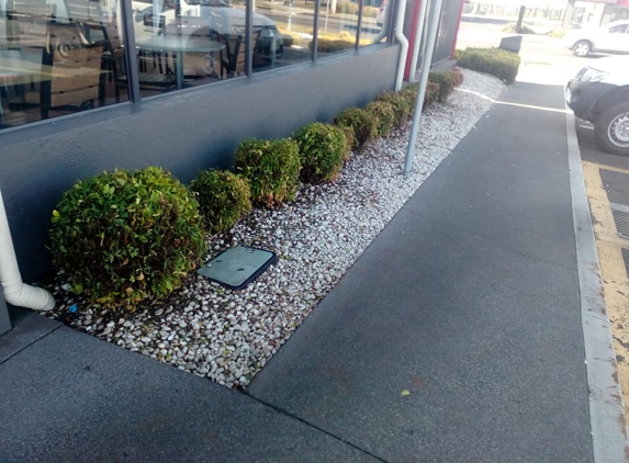 Total Home Care & Maintenance - Burnie, TAS