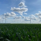 Twin Groves Wind Farm