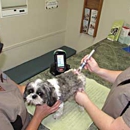 Acupet Veterinary Care - Pet Grooming