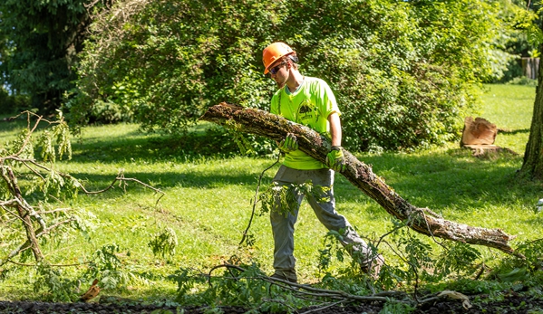 Smitty’s Tree Service - Sherrodsville, OH