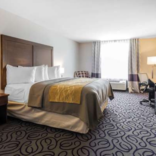 Comfort Inn & Suites - Lovington, NM