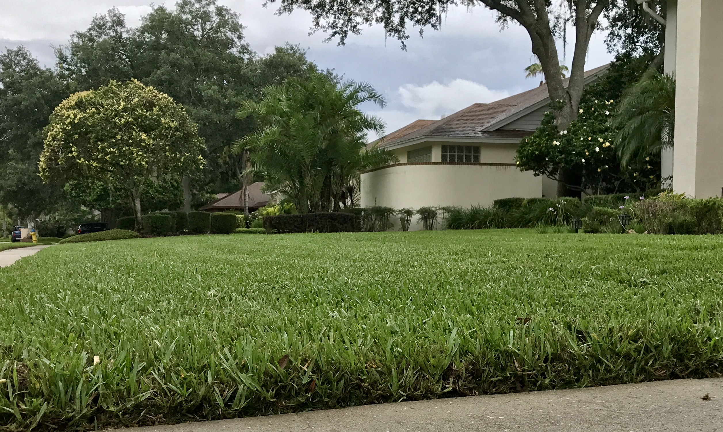 Rodriguez Sod Ranch Inc 7608 W Linebaugh Ave, Tampa, FL ...