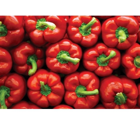 Williams Premium Wholesale