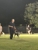 Darwin Obedience Dog Club - Dog Training