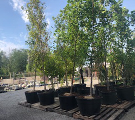 Ken Mulch Inc - Louisville, KY