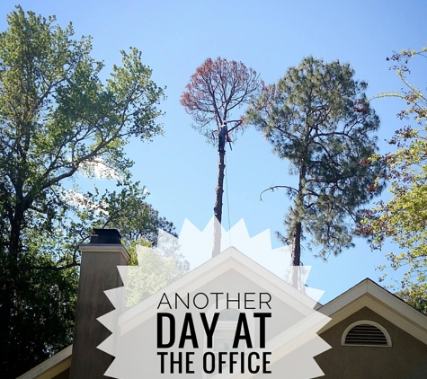 Broken Branch Tree Service - Salem, AL