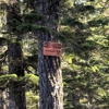 Eaglecrest Ski Area gallery
