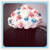 Funky Frosted gallery