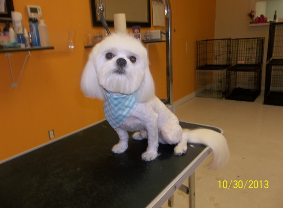 OKC Pet Salon - Oklahoma City, OK