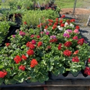 C & R Garden Center - Garden Centers