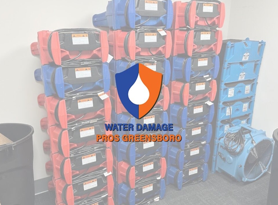 The Water Damage Pros Greensboro - Greensboro, NC