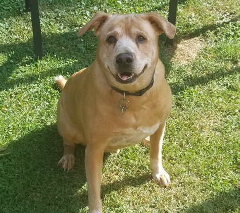 Roscoe Veterinary Clinic - Roscoe, IL