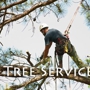 Brock's Tree Service