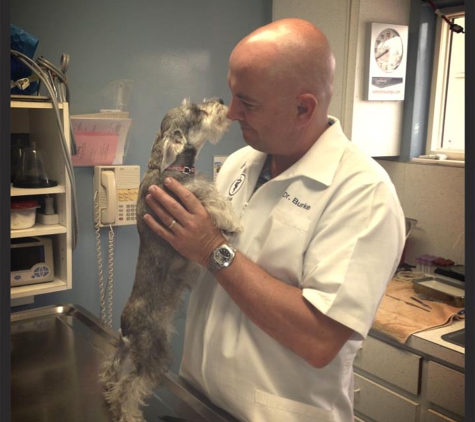 Ormond Beach Veterinary Clinic - Ormond Beach, FL