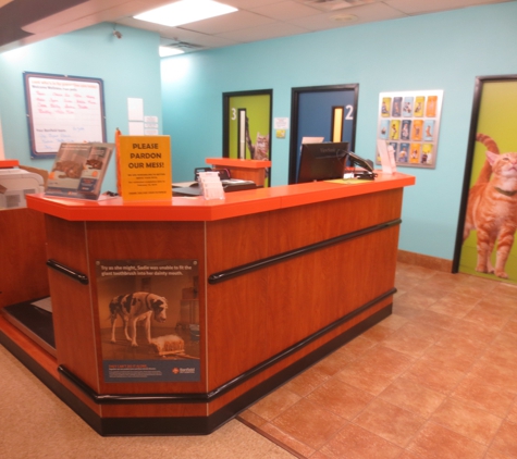 Banfield Pet Hospital - Atlanta, GA