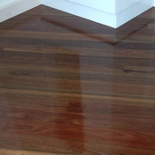 Gallery Image Number 7