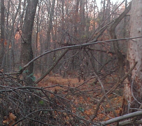 Ellanor C Lawrence Park - Chantilly, VA