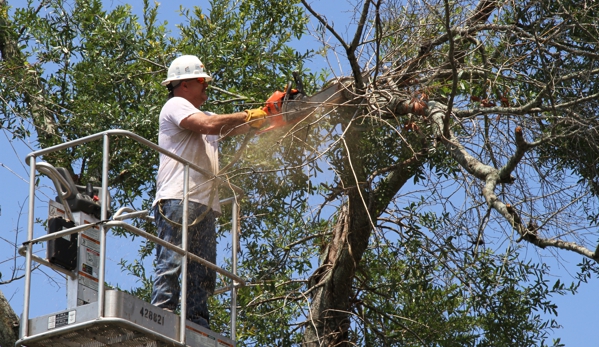 Greenwise Tree Surgeons - Jacksonville, FL