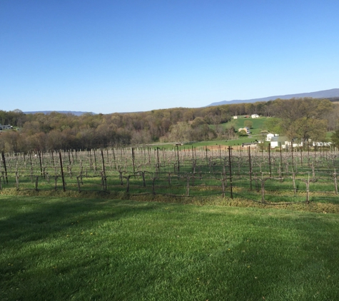 Cave Ridge Vineyard - Mount Jackson, VA