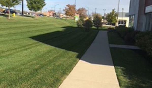 Clippings Lawn Care - Mokena, IL