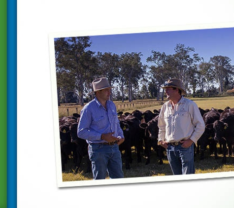 WMG Agriservices - Goondiwindi, QLD