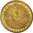William S Panitch Rare Coins - Coin Dealers & Supplies
