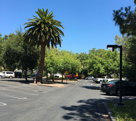 Ymca - Palo Alto, CA