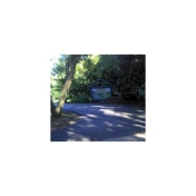 Gallery Image Number 4