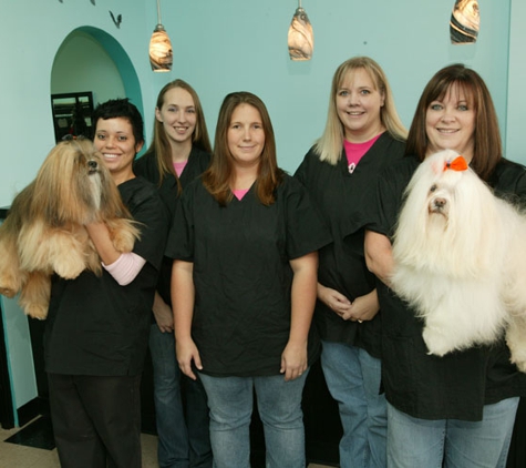 Clipper Ship Pet Grooming - Lake Mary, FL