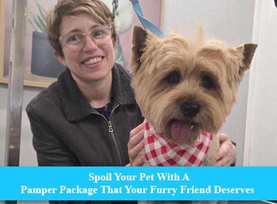 Scrub-A-Dub-Dub Dog & Cat Grooming - Rosemount, QLD. Spoil Your Pet With A Pamper Package That Your Furry Friend Deserves