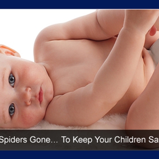 Rebel Pest - Newcastle, NSW. Spiders Gone... To Keep Your Children Safe