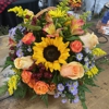 Bella Botanica gallery