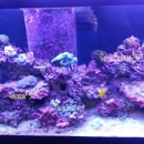 The Fish Room - Aquariums & Aquarium Supplies