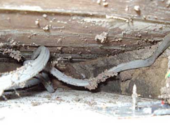 TKO Pest Control - Limestone Creek, QLD