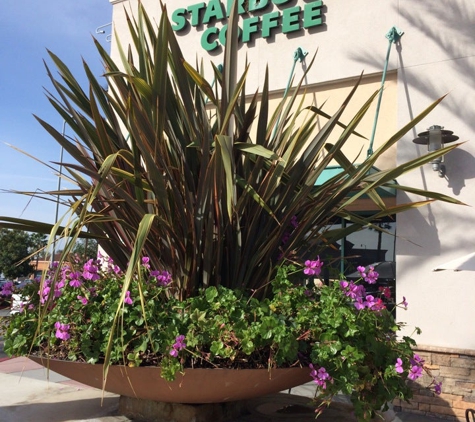 Starbucks Coffee - Upland, CA