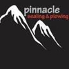 Pinnacle Sealing gallery