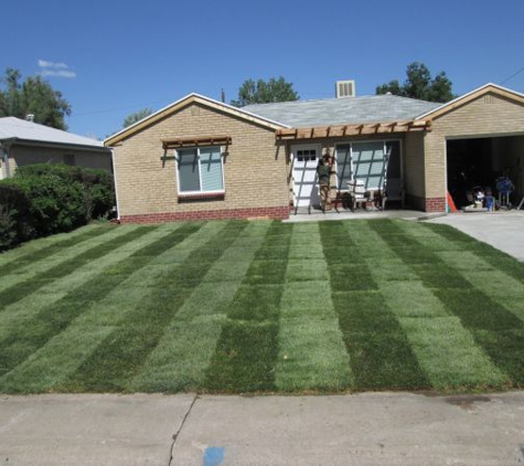 Lawn Pro Solutions - denver, CO