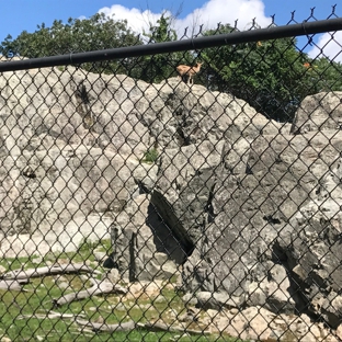 Stone Zoo - Stoneham, MA
