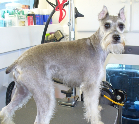 Pride & Groom Dog Groomobile