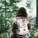 Elevate Wellness Chiropractic - Chiropractors & Chiropractic Services