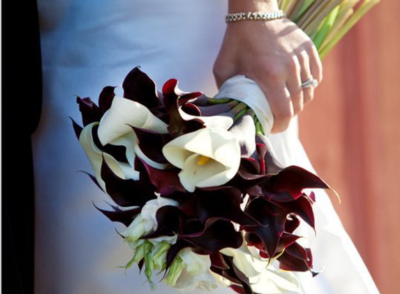 LadyBug Florist - Oxford, MA