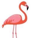 Flamingo Rides - Limousine Service