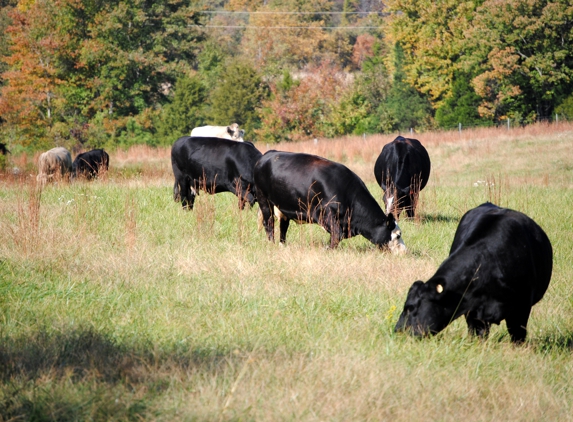 Lazy Creek Farms - Beaverdam, VA