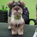 Dogwood Grooming & Boarding - Pet Boarding & Kennels