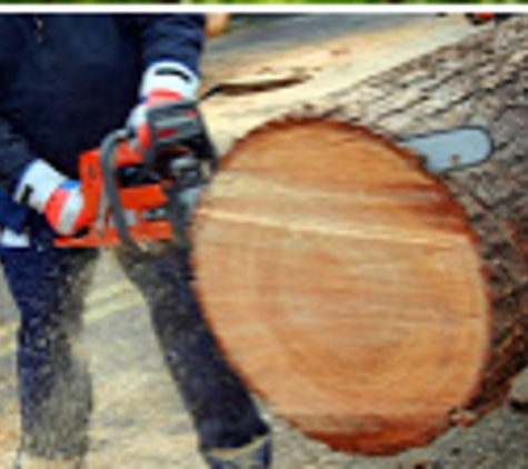 Limbs & Things Tree Service - Loveland, CO