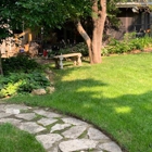 Our Path To Wellness