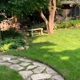 Our Path To Wellness